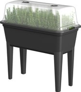 Bol.com Extra grote kweekbak 50L - inclusief deksel - 76 x 37 x 60 cm - Verhoogde Kweektafel - Mini tuin - Kweektuin - Zwart aanbieding