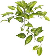 Vanille plant - Vanilla Planifolia - Hangplant - Kunstplant - Ø 45 cm - Losse tak