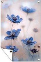 Tuinposter - Tuindoek - Tuinposters buiten - Cosmos - Bloemen - Natuur - Blauw - 80x120 cm - Tuin