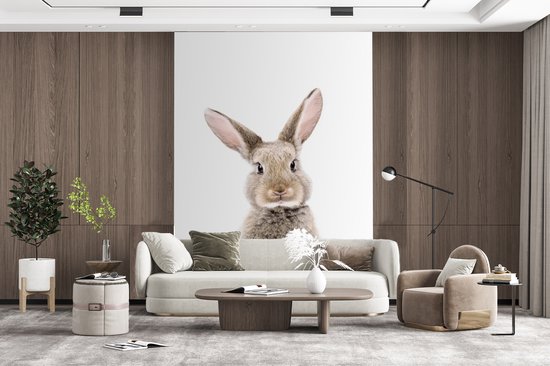 Konijn - Dieren - Natuur - Bruin - Behangpapier