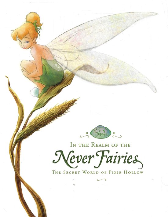 In the Realm of the Never Fairies - cover