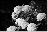 Muurdecoratie Bloemen - Zwart wit - Natuur - Planten - Rozen - 180x120 cm - Tuinposter - Tuindoek - Buitenposter