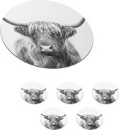 Onderzetters voor glazen - Rond - Schotse hooglander - Dieren - Hoorns - Zwart wit - 10x10 cm - Glasonderzetters - 6 stuks