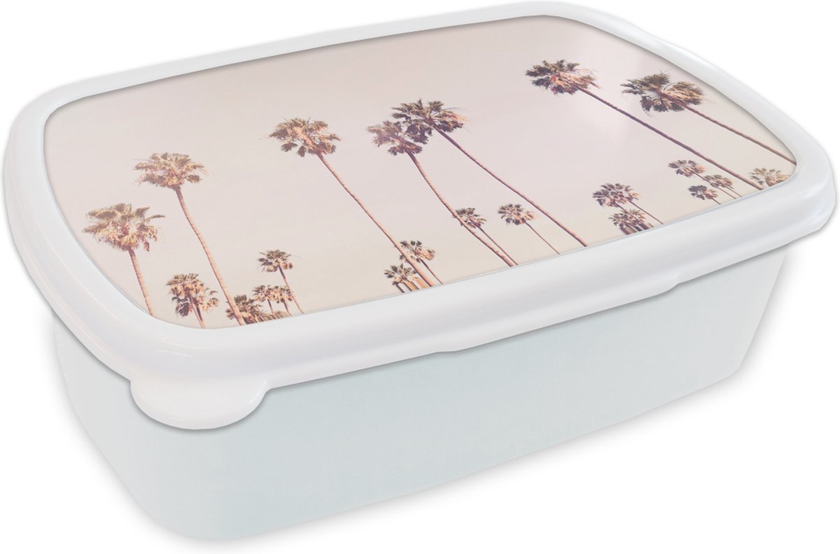 Broodtrommel Wit - Lunchbox - Brooddoos - Palmbomen - Zon - Natuur - Lucht - 18x12x6 cm - Volwassenen