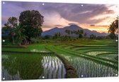 Tuinposter – Rijstvelden Vol met Water in Indonesië - 150x100 cm Foto op Tuinposter (wanddecoratie voor buiten en binnen)