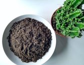 Bol.com STRUCTURAL Potgrond 5 Liter - Ideaal Voor Vetplanten En Cactus aanbieding
