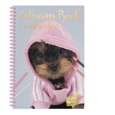 Studio Pets - Kleurboek & stickerboek - 28 honden kleurplaten en 5 stickervellen - Romeo