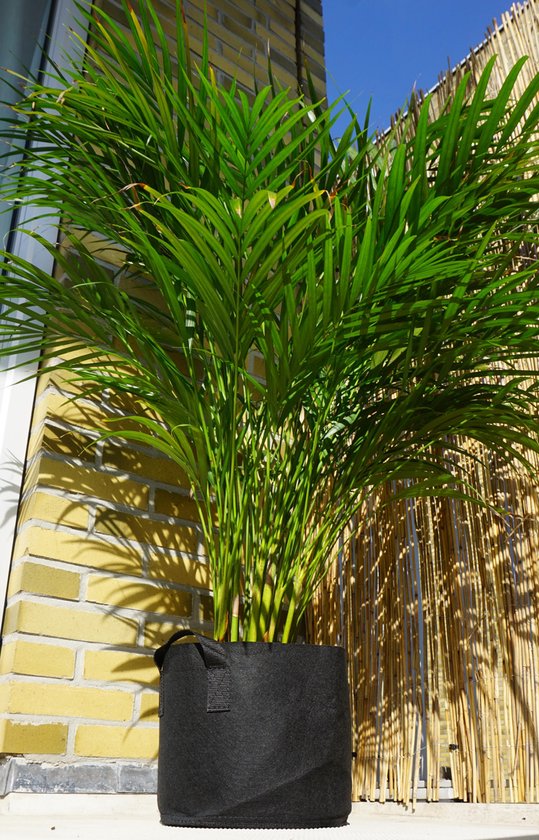 tuin Tanzania Premisse Plantenzak | 25cm Diameter - 10 Liter - Zwart - Plantenbak - Plantenpot -  Bloembak -... | bol.com