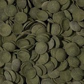 Tropical Green Algea Wafers - 100ml