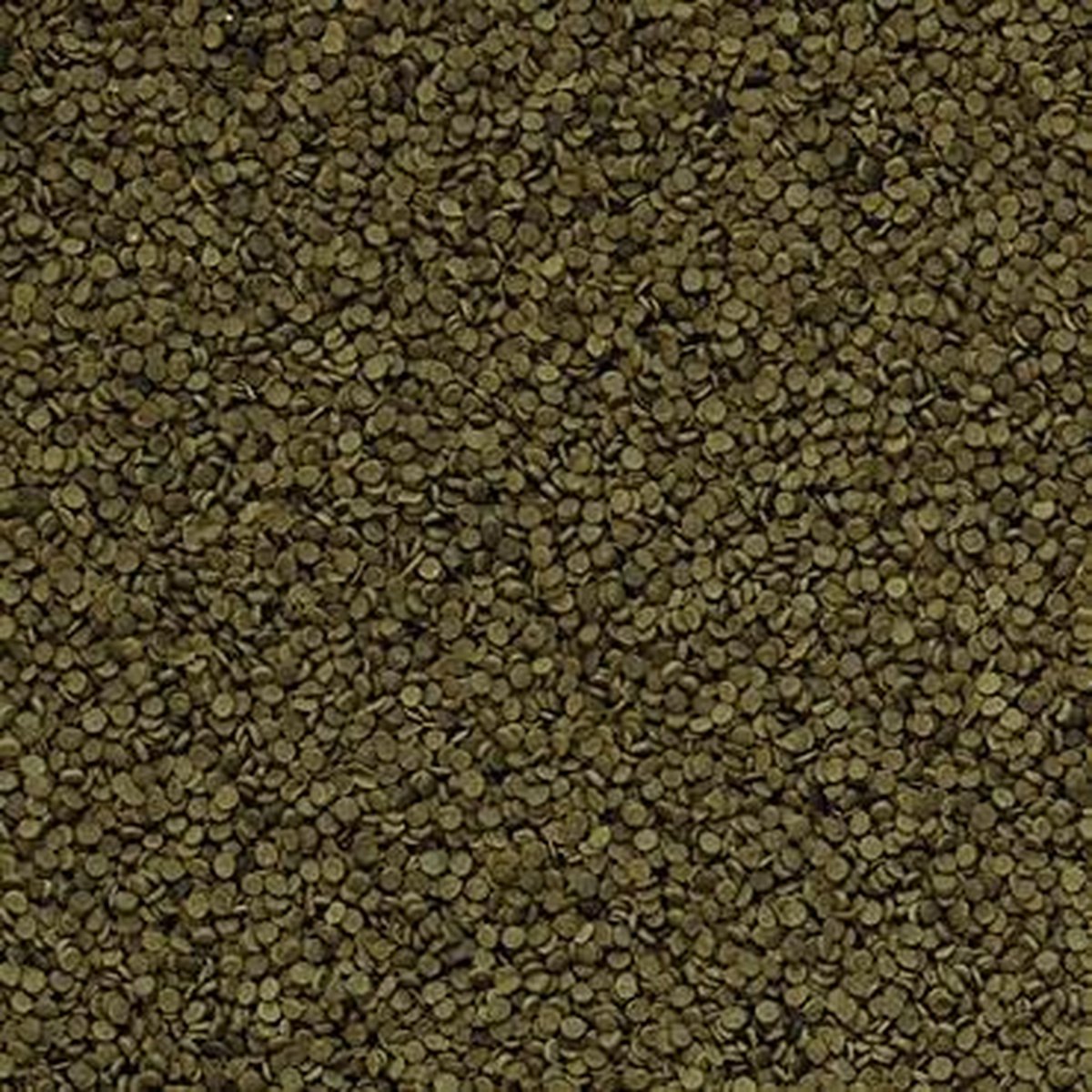 Onlineaquarium spullen Spirulina granulaat
