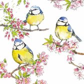 PPD - Summer Choir - 20 papieren servetten - Bloemen en Vogels - Voorjaar - Lente