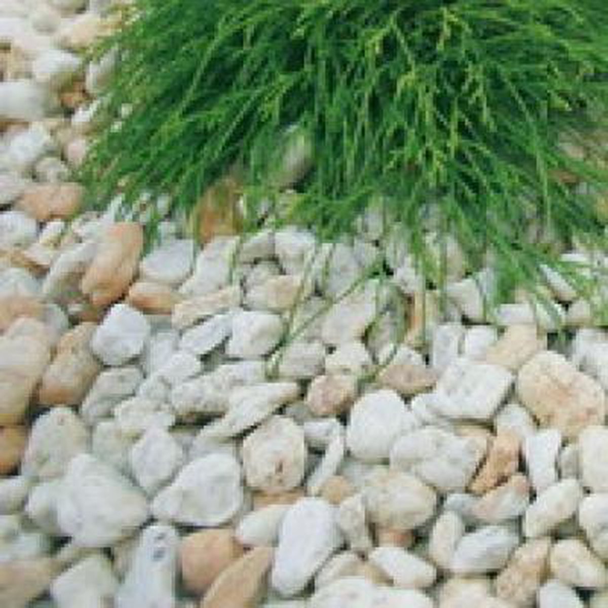 Siergrind Siersplit Taunus Quartz 1000kg Bol