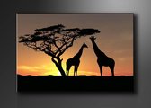 Schilderij - Afrika Giraffe, Oranje/Zwart, 80X60cm, 1luik