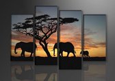 Schilderij - Afrika Olifant, Oranje/Zwart, 130X80cm, 4luik