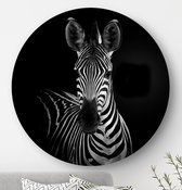 HIP ORGNL Schilderij Zebra - ⌀80cm - Wandcirkel dieren - Zwart wit