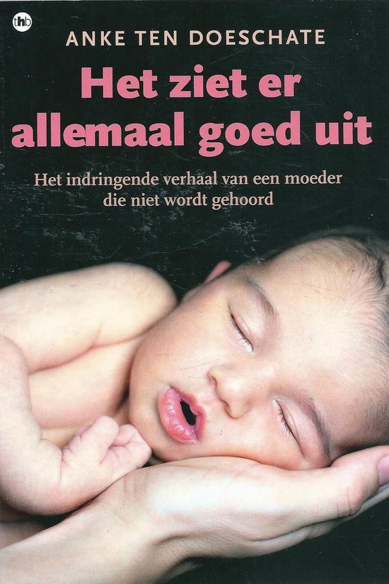 Het ziet er allemaal goed uit - cover