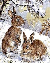JDBOS ® Schilderen op nummer Volwassenen - Twee konijnen in de sneeuw -  Paint by... | bol.com