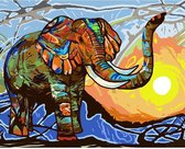 JDBOS ® Peinture par numéro - Éléphant coloré - Éléphant coloré - Peinture par numéros - Peintures adultes - 40x50 cm