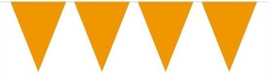 2x Mini vlaggenlijn / slinger - oranje - 300 cm