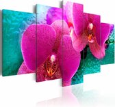 Schilderij - Exotische Orchidee , roze groen , 5 luik