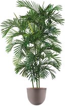 HTT - Kunstplant Areca palm in Eggy taupe H190 cm