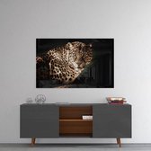 Glas Schilderij | Luipaard | Dieren | wanddecoratie | 72x46 cm | 4 mm