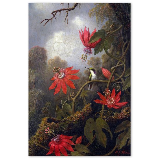 Kolibrie bij Bloemen - Vogel - Martin Johnson Heade - Schilderij op Canvas