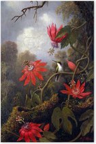 Colibri à fleurs - oiseau - tête - jardin extérieur peinture sur toile