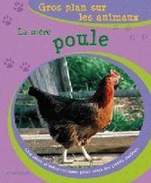 Gros plan sur les animaux 03. la mère poule