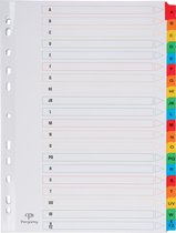 Pergamy tabbladen met indexblad, ft A4, 11-gaatsperforatie, geassorteerde kleuren, A-Z 20 met tabs