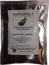 Hopkorrels Lubelski