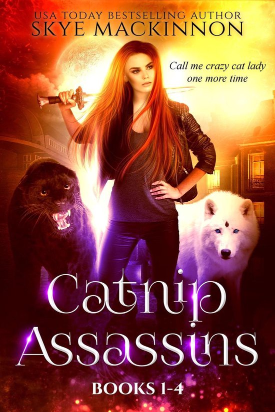 Catnip Assassins Files 1 - Catnip Assassins: Books 1-4 - cover