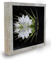 Deco fotolijst vitrine 20x20 - Lotus Zen
