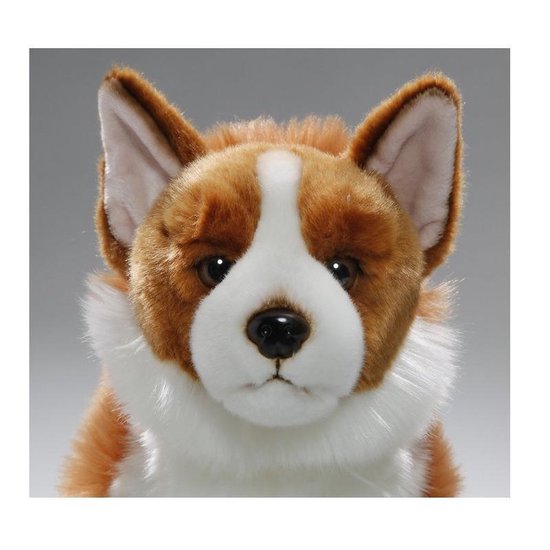 Pluche bruin/witte Corgi hond knuffel 35 cm - Honden huisdieren knuffels -  Speelgoed... | bol.com