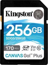 Bol.com Kingston Technology Canvas Go! Plus 256 GB SD UHS-I Klasse 10 aanbieding