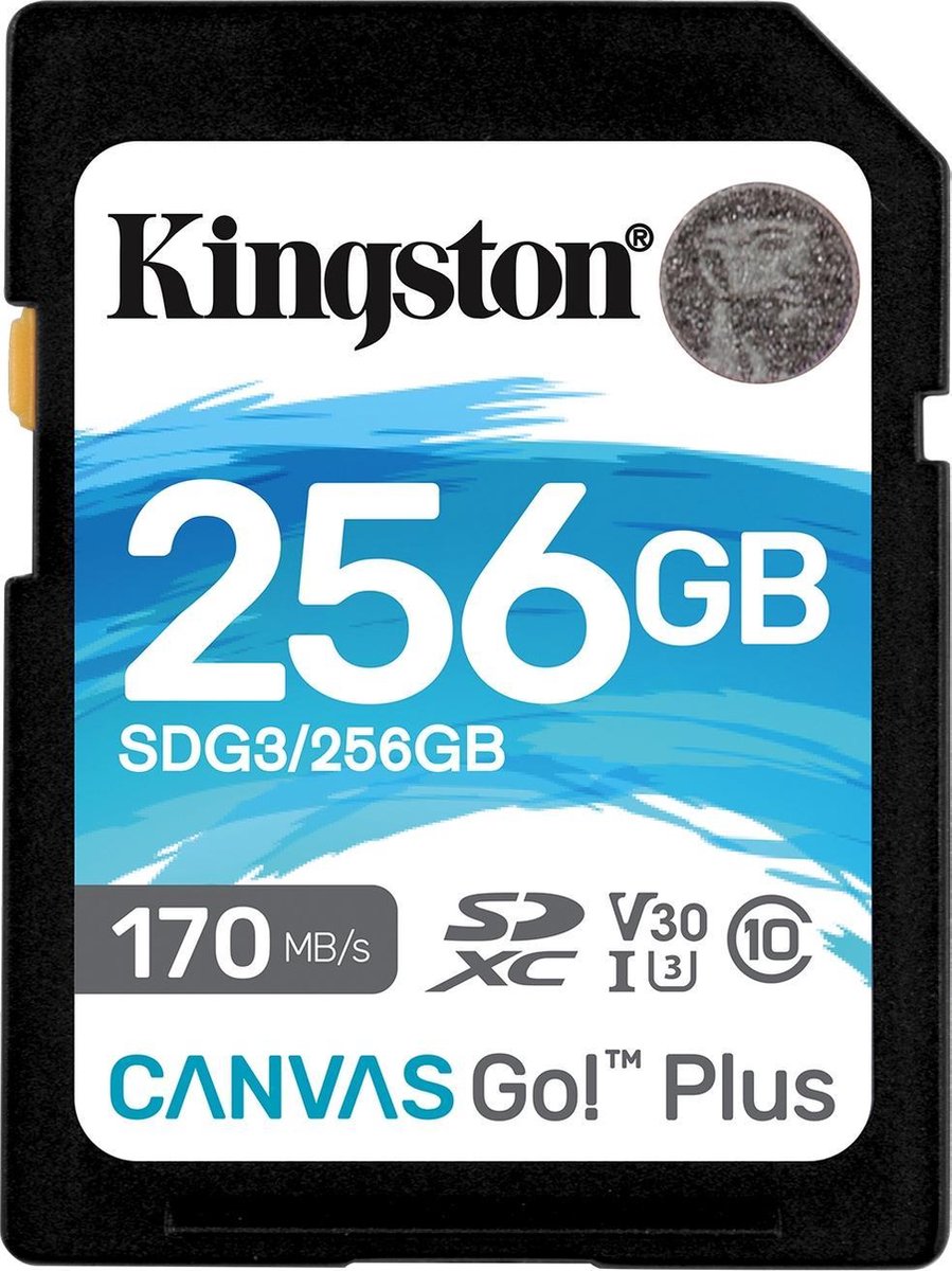Kingston Canvas Go Plus 256GB