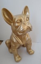 Stoobz Polystone beeld hond franse bulldog goud 37cm