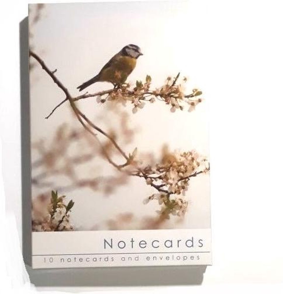 Leonard Smith Notecards ~ Kaartenmapje Vinkjes