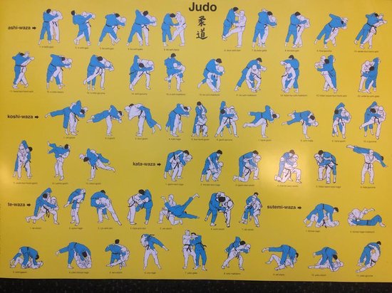 Judo Poster Tachi-Waza technieken