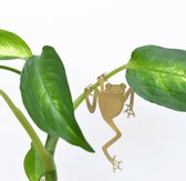 Plant Animals - Frog - Playful Creates For Your Plants!