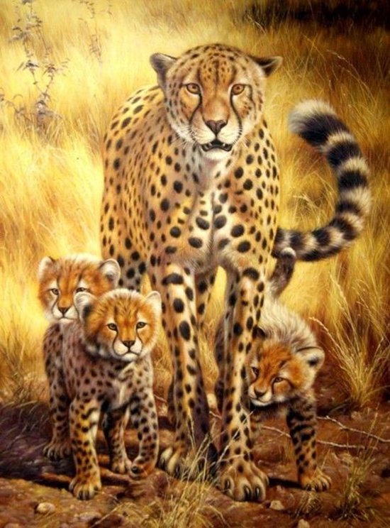 Diamond Painting Cheetah ( Canvas 37X47cm , Afbeelding 30X40cm
