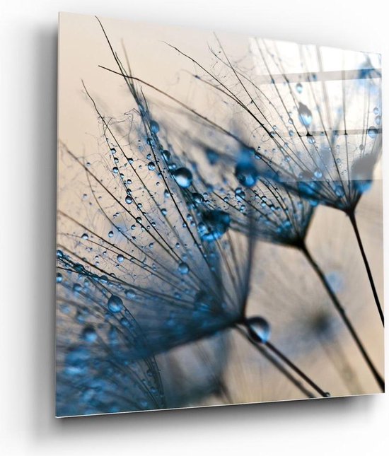 Glas Schilderij | Bloem | Paardebloem | wanddecoratie | Foto Op Glas |  50x50 cm | bol.com