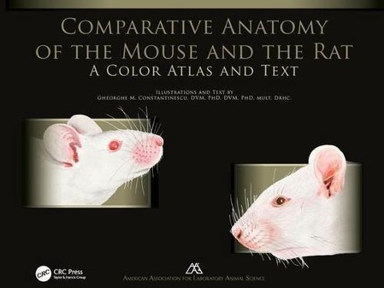 Comparative Anatomy of the Mouse and the Rat - cover