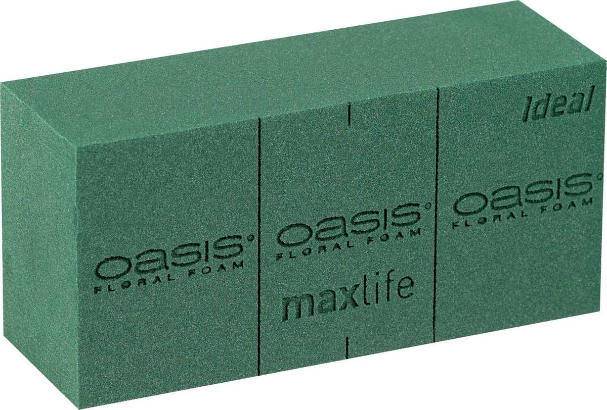 Oasis steekschuim 'Ideal' - 23 x 11 x 8 cm - set van 6 stuks