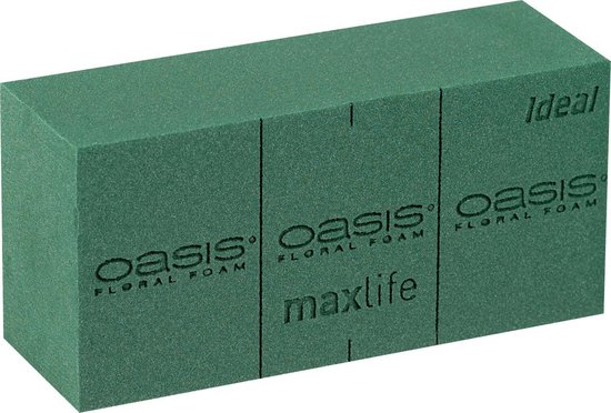 Foto: Oasis steekschuim ideal 23 x 11 x 8 cm set van 6 stuks