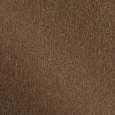 Tonic Studios • Spiegelkarton parelmoer  A4 - 216 grams - 5 vellen - Glazed Chesnut
