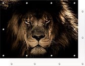 Tuinposter Leeuwen Kop | 130 x 90 cm | PosterGuru