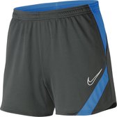 Nike Academy 20 Sportbroek - Maat XS  - Vrouwen - grijs/ blauw