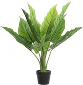 Groene waterplant kunstplant 74 cm in zwarte pot - Kunstplanten/nepplanten