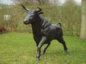 Tuinbeeld - bronzen beeld - Grote stier 203 cm - 150 cm hoog